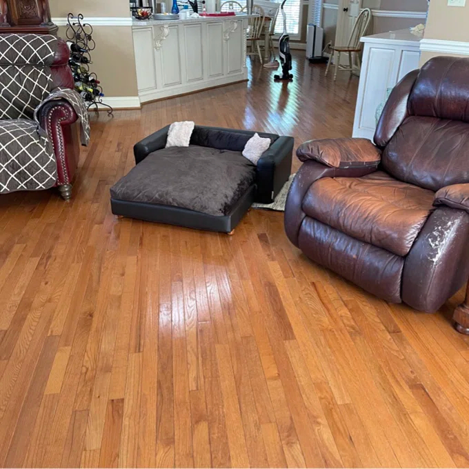 预发布站点、【Pet】Kayenta Premium Dog Sofa、-12345