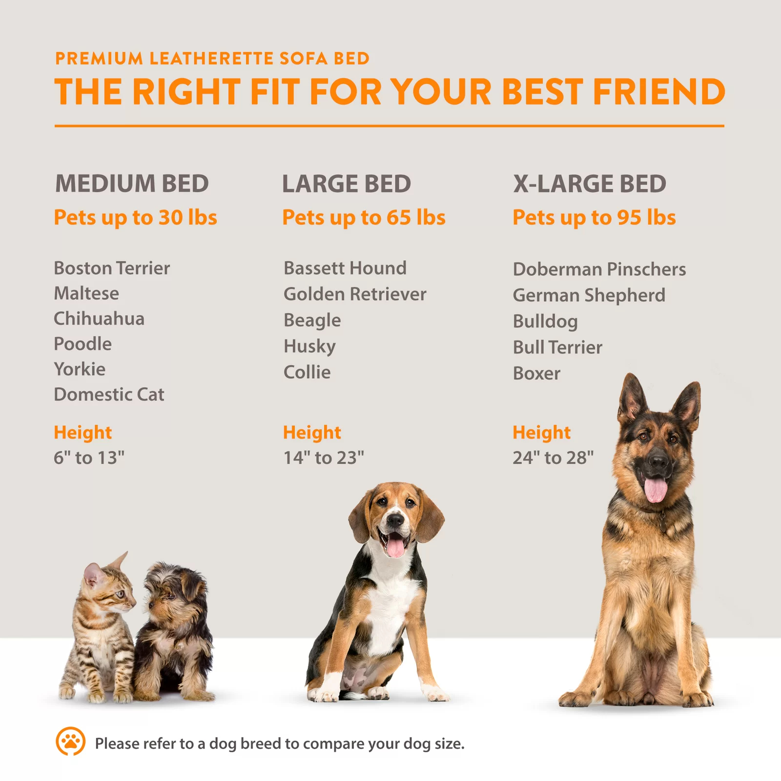 预发布站点、【Pet】Kayenta Premium Dog Sofa、-12345