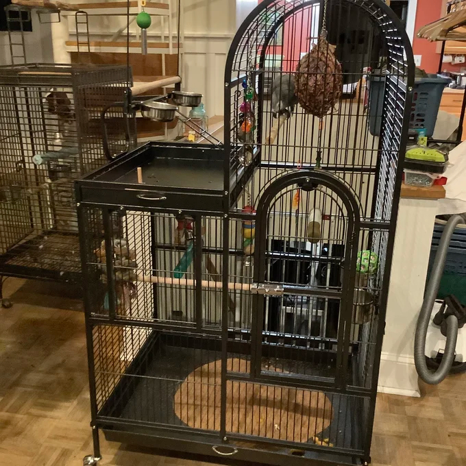 预发布站点、【Pet】Nickelson 66'' Steel Play Top Floor Bird Cage with Wheels、-12345