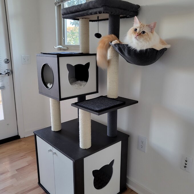 预发布站点、【Pet】59" Yinka Cat Tree or Condo、-12345