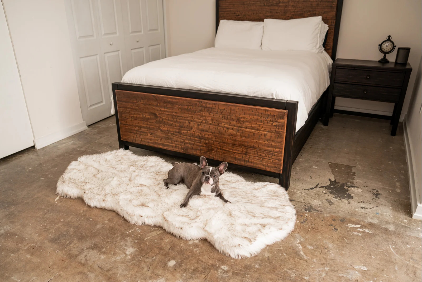 预发布站点、【Pet】Pretor Puprug Runner Faux Fur Memory Foam Dog Curve Mat、-12345