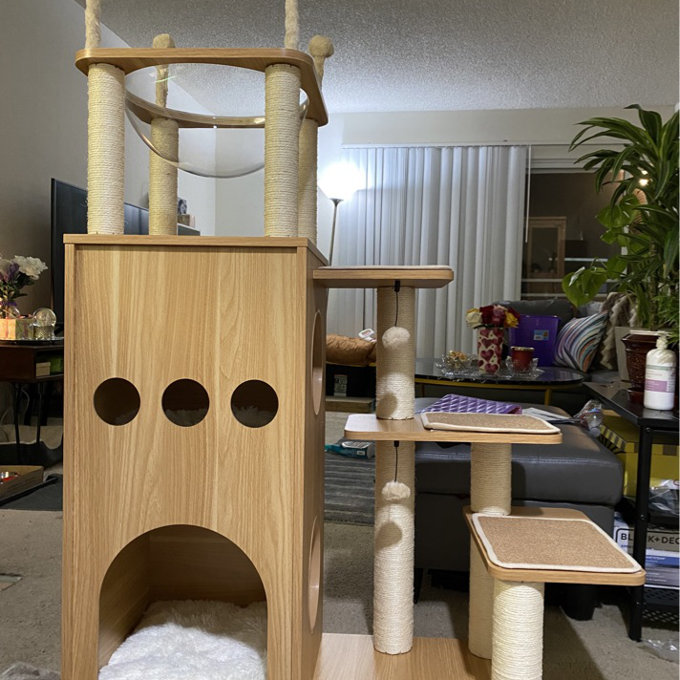 预发布站点、【Pet】52" Tavion Multi-level Cat Tree、-12345
