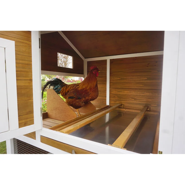 预发布站点、【Pet】Shanae Walk In Chicken Coop with Chicken Run For Up To 8 Chickens、mysite-12345