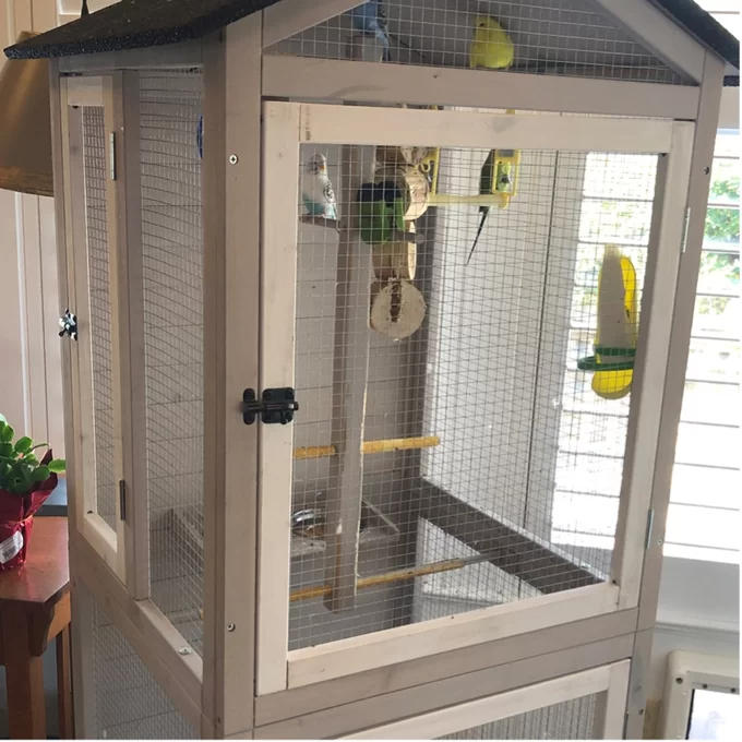 预发布站点、【Pet】Freddy 70'' Pointed Top Flight Cage with Stand、-12345