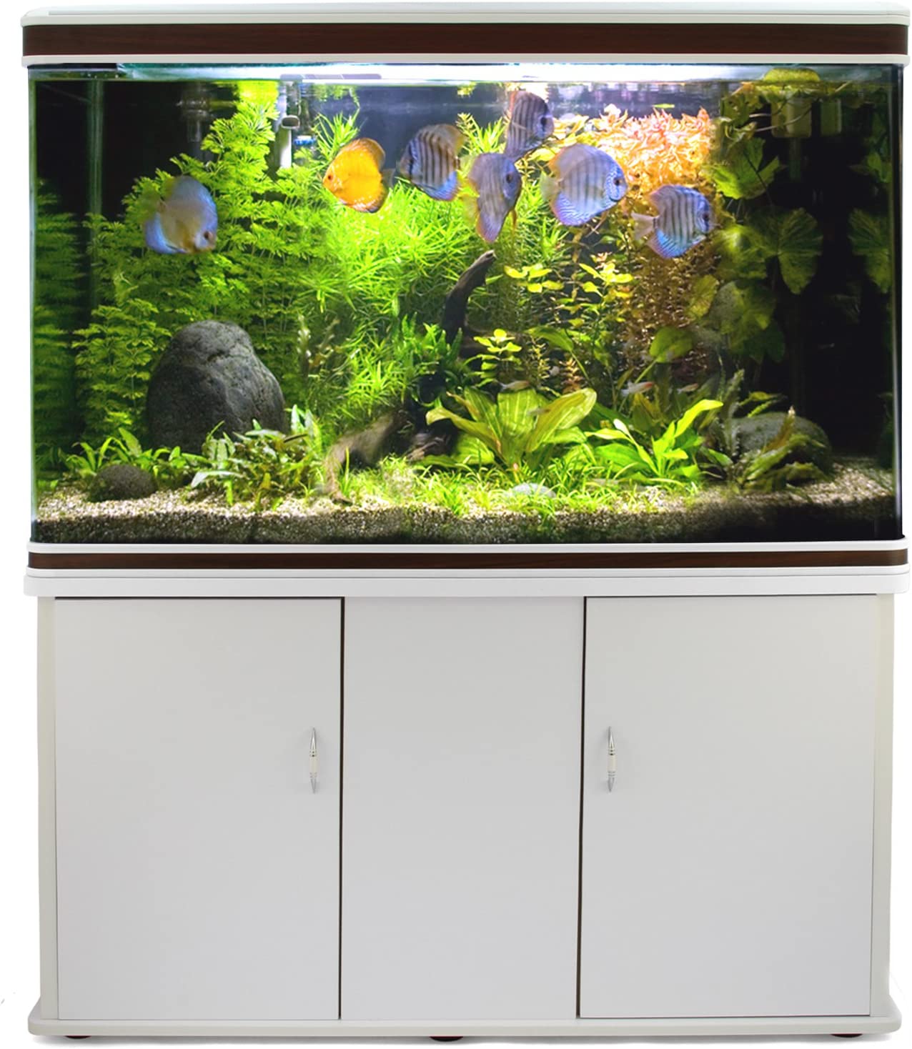 预发布站点、【Pet】【BS】Large Fish Tank Aquarium 4ft 300L Marine Tropical Salt Water Freshwater & Complete Starter Kit、mysite-12345