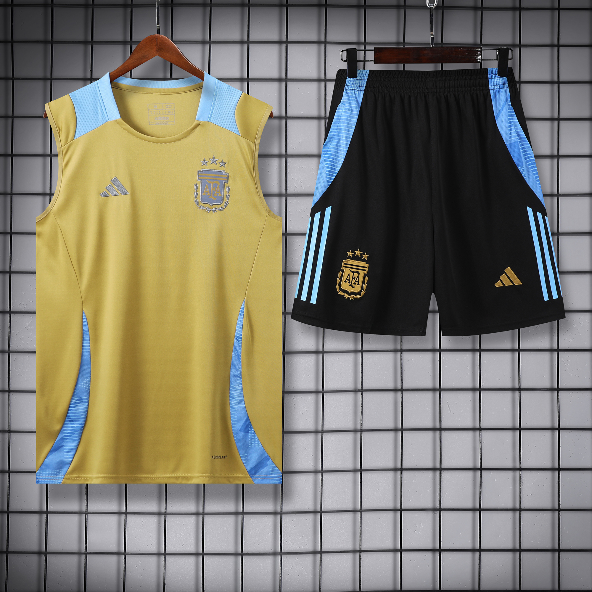 Argentina 24-25 Vest Training Set - Gold111