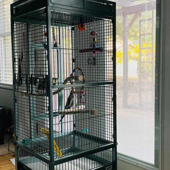 预发布站点、【Pet】Bremer Steel Play Top Floor Bird Cage with Wheels、-12345