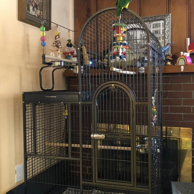 预发布站点、【Pet】Nickelson 66'' Steel Play Top Floor Bird Cage with Wheels、-12345
