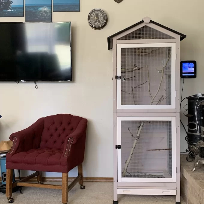 预发布站点、【Pet】Freddy 70'' Pointed Top Flight Cage with Stand、-12345