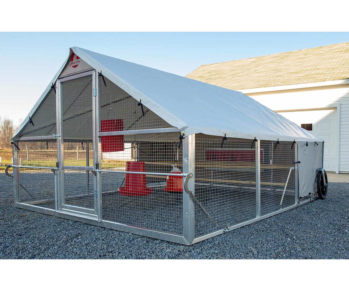 预发布站点、【Pet】Chicken Coop, 3mx4mLarge Metal Walk-in Poultry Cage Kennel with Waterproof Cover、mysite-12345