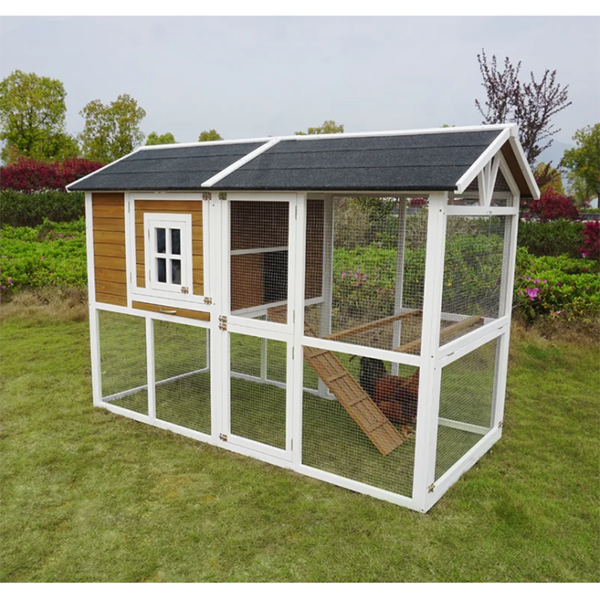 预发布站点、【Pet】Shanae Walk In Chicken Coop with Chicken Run For Up To 8 Chickens、mysite-12345