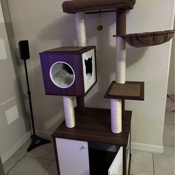 预发布站点、【Pet】59" Yinka Cat Tree or Condo、-12345