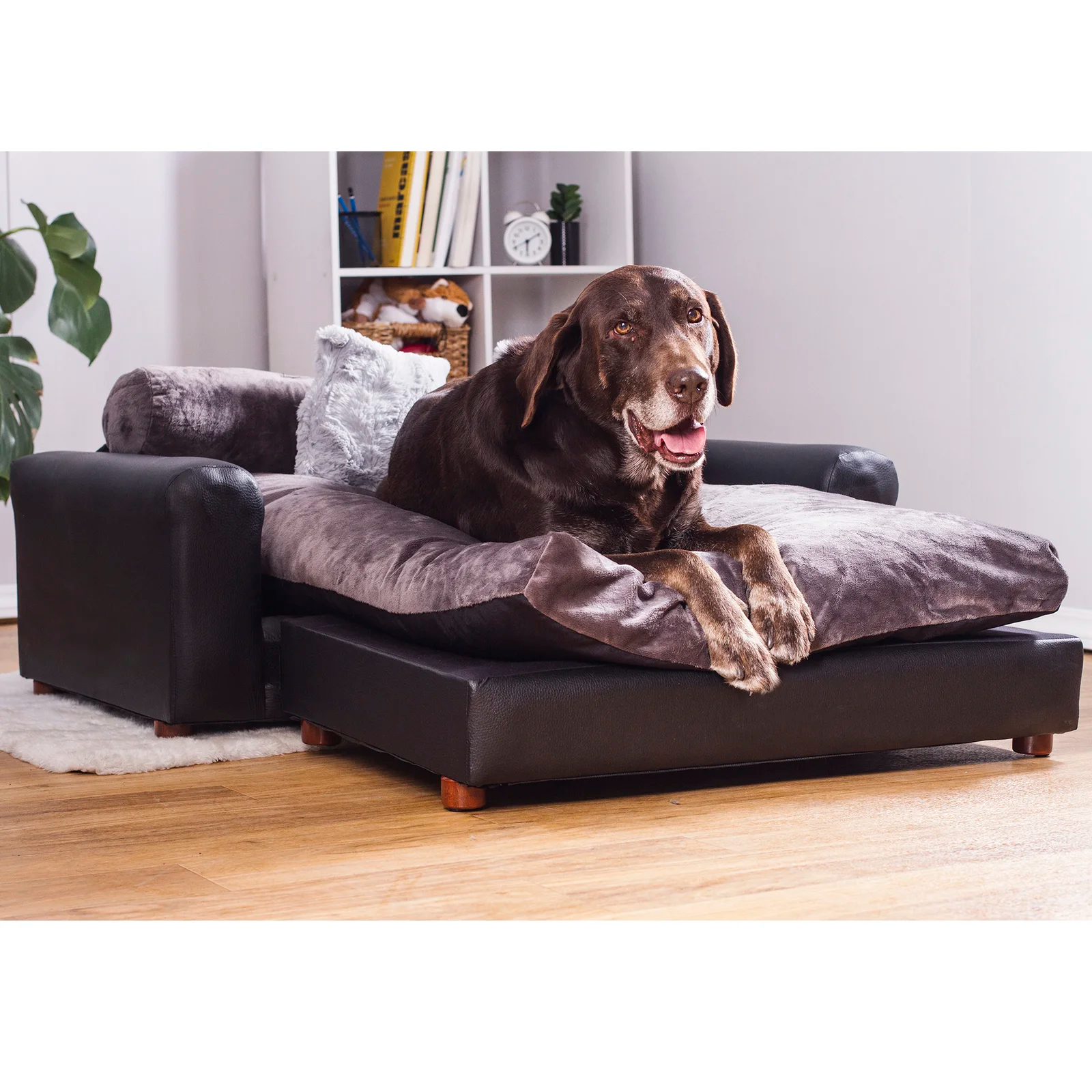预发布站点、【Pet】Kayenta Premium Dog Sofa、-12345