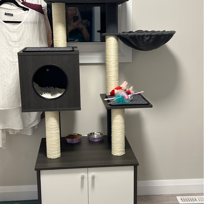 预发布站点、【Pet】59" Yinka Cat Tree or Condo、-12345
