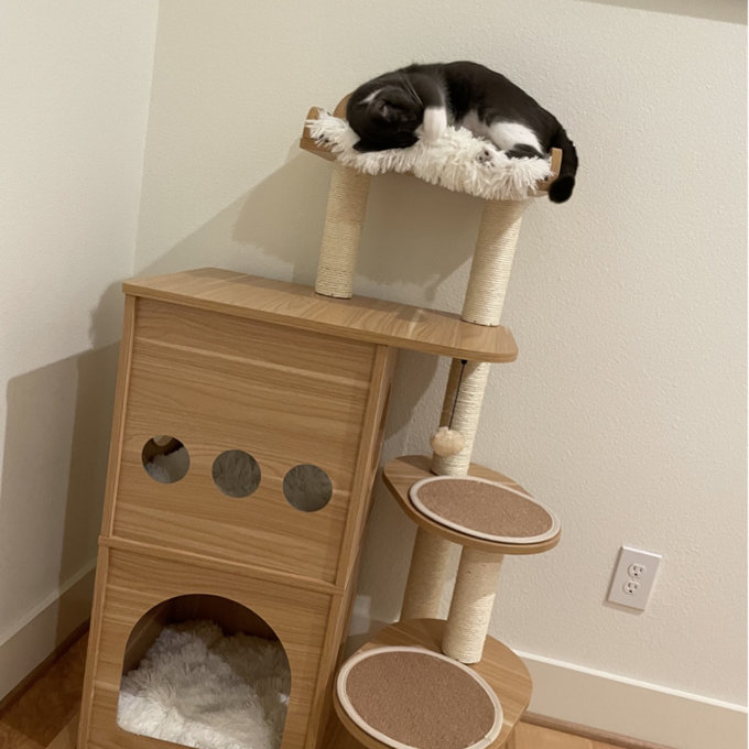 预发布站点、【Pet】47" Wooden Luxury Cat Tree、-12345