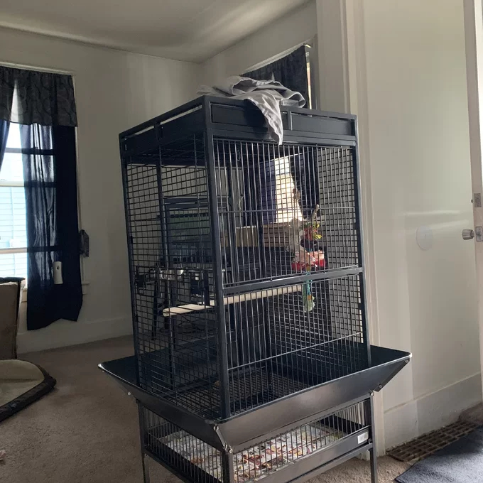 预发布站点、【Pet】Bremer Steel Play Top Floor Bird Cage with Wheels、-12345
