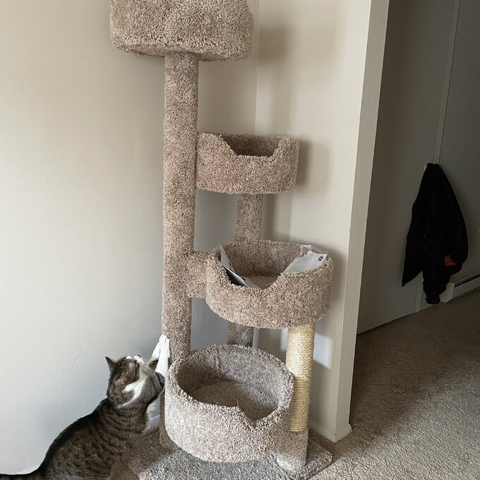 预发布站点、【Pet】64" New Stairway Cat Condo、-12345