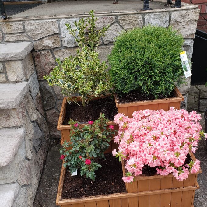 预发布站点、【Home&Garden】Gordonsville 2.5x2.5 ft Wood Raised Garden Bed、-12345