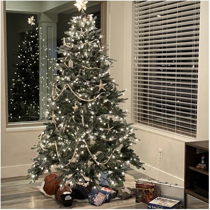 预发布站点、【Décor】Frosted Arctic 90'' Lighted Artificial Spruce Christmas Tree、-12345