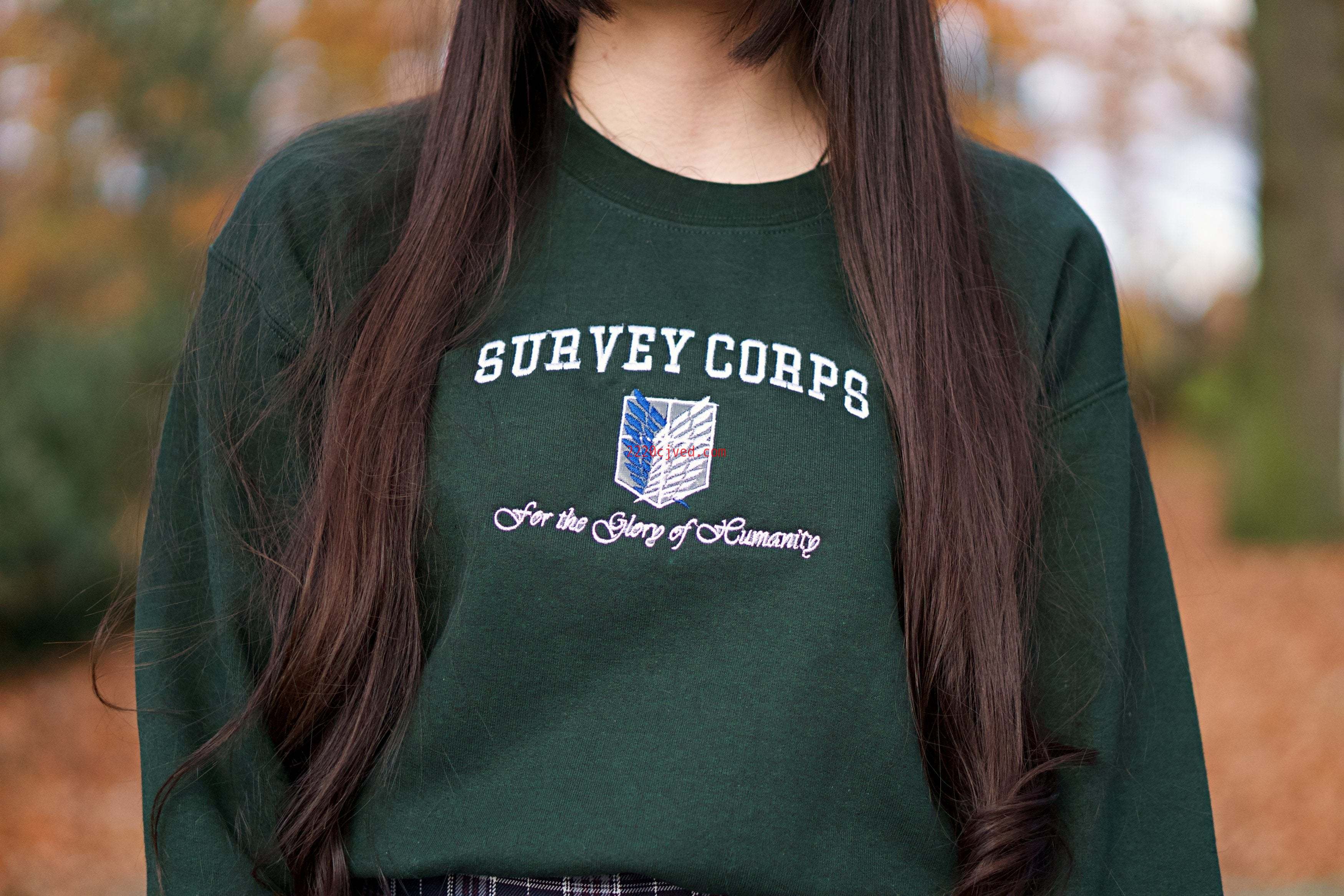 预发布站点、Survey Corps Pullover、mysite-12345