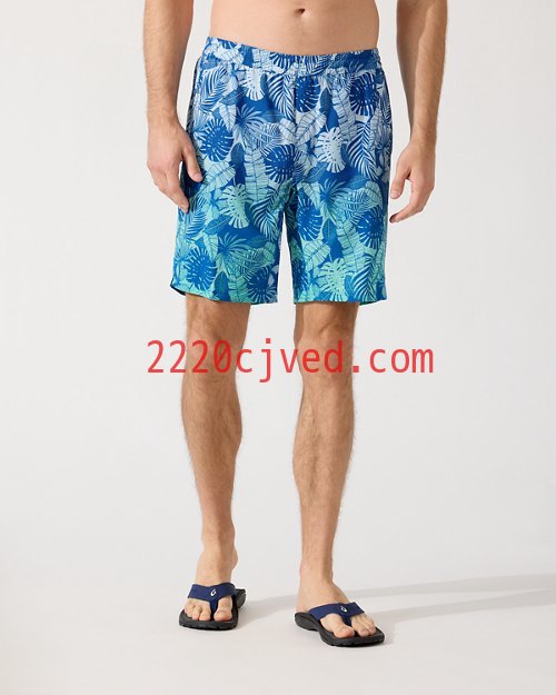 预发布站点、Big and Tall Monterey Coast Ombré Palms IslandZone Elastic-Waist Shortsenglish、-12345