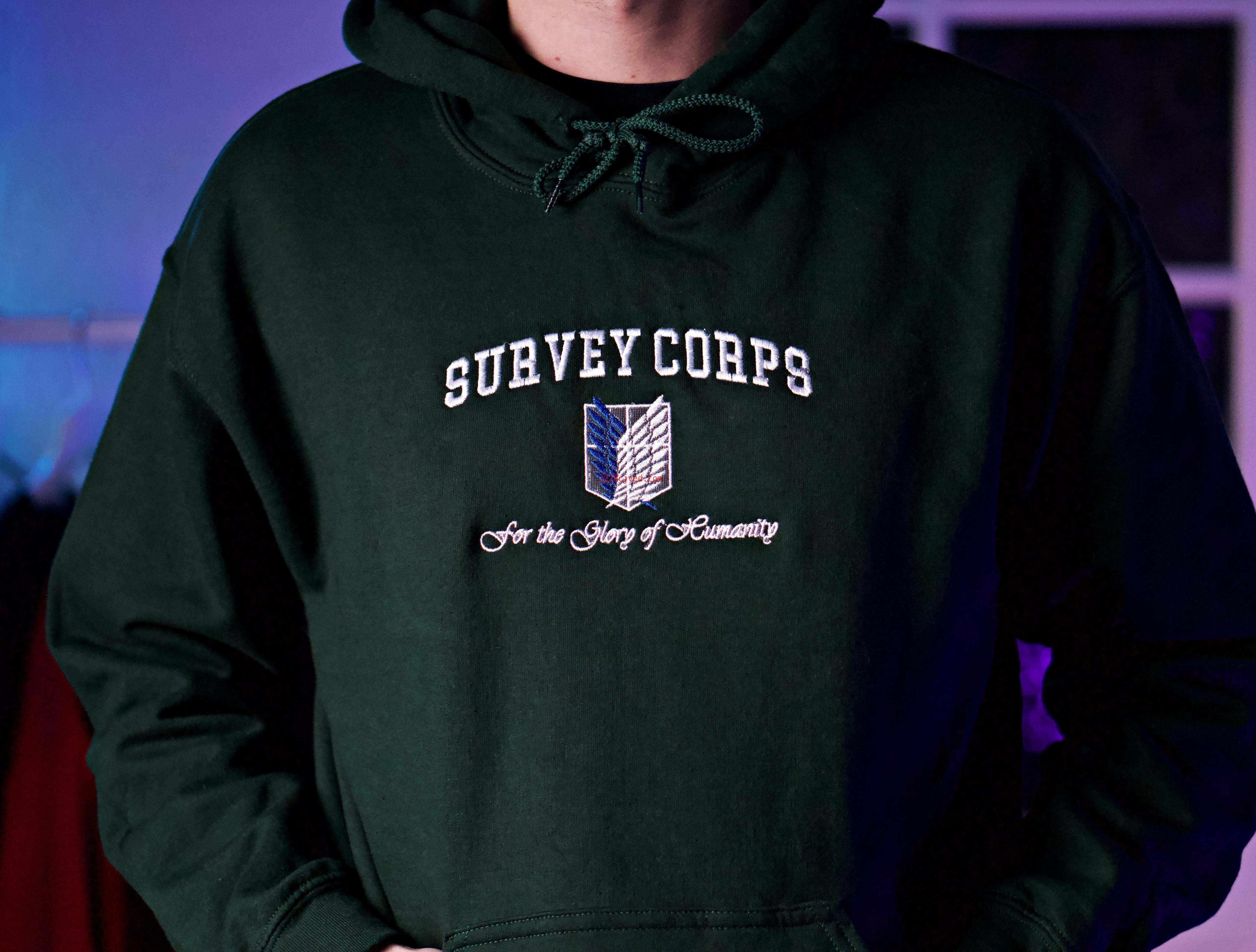 预发布站点、Survey Corps Pullover、mysite-12345