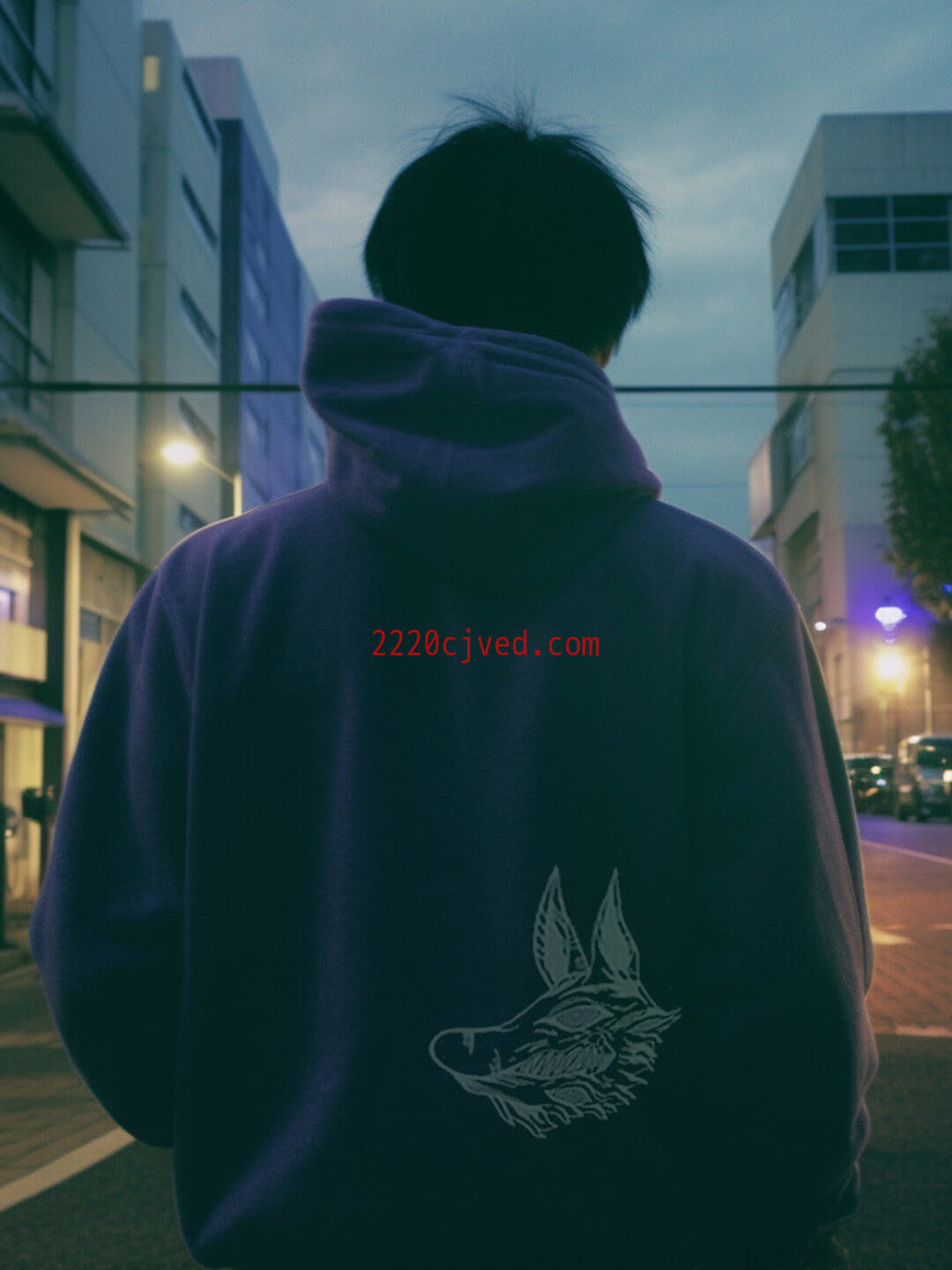 预发布站点、DEVIL hoodie、mysite-12345