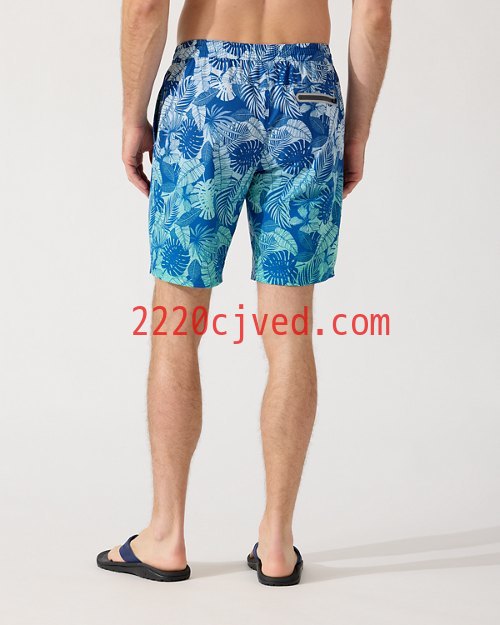 预发布站点、Big and Tall Monterey Coast Ombré Palms IslandZone Elastic-Waist Shortsenglish、-12345